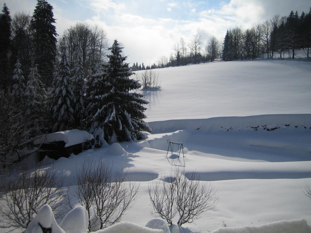 Chalet Lomy Villa Nové Město nad Metují Oda fotoğraf